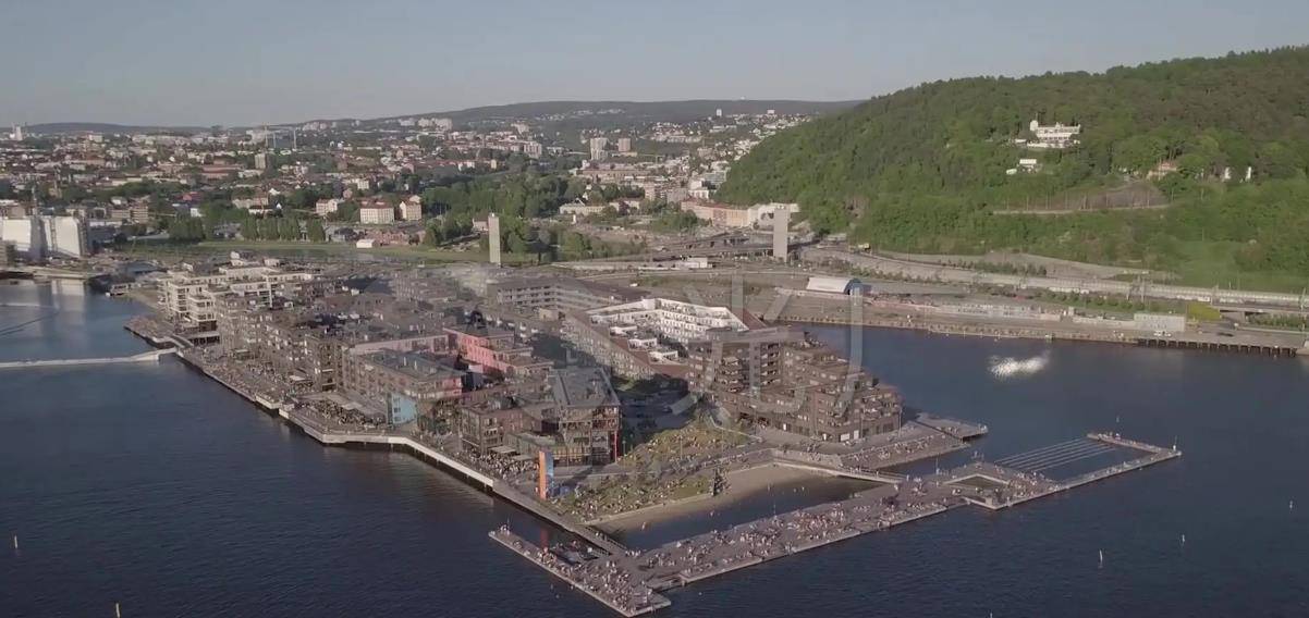 二战时期,希特勒直至战败,为何也没有动用驻扎挪威的40万德军?