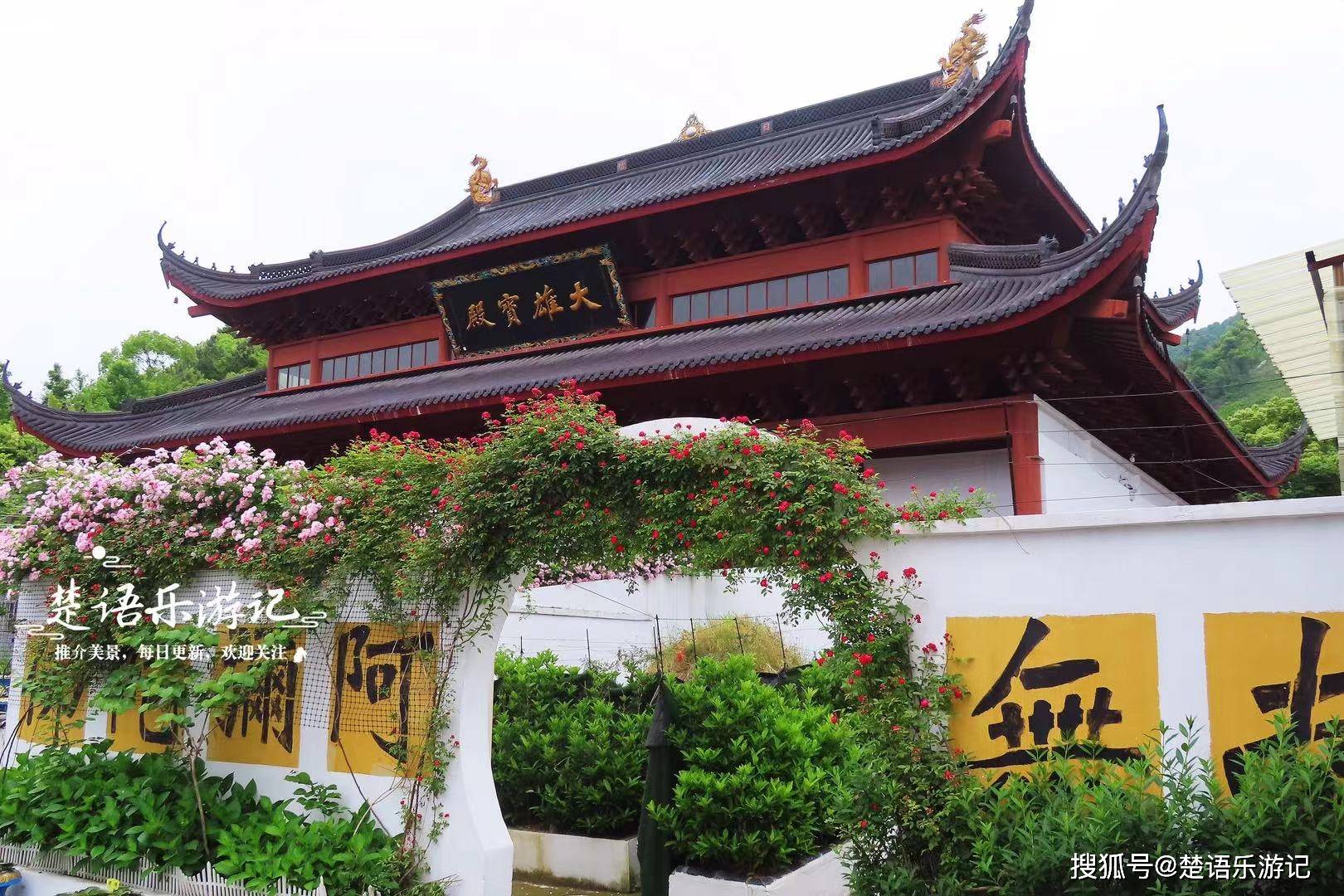 少有人来却美如花园,蔷薇花海拍照很出片_白云_禅寺_神殿