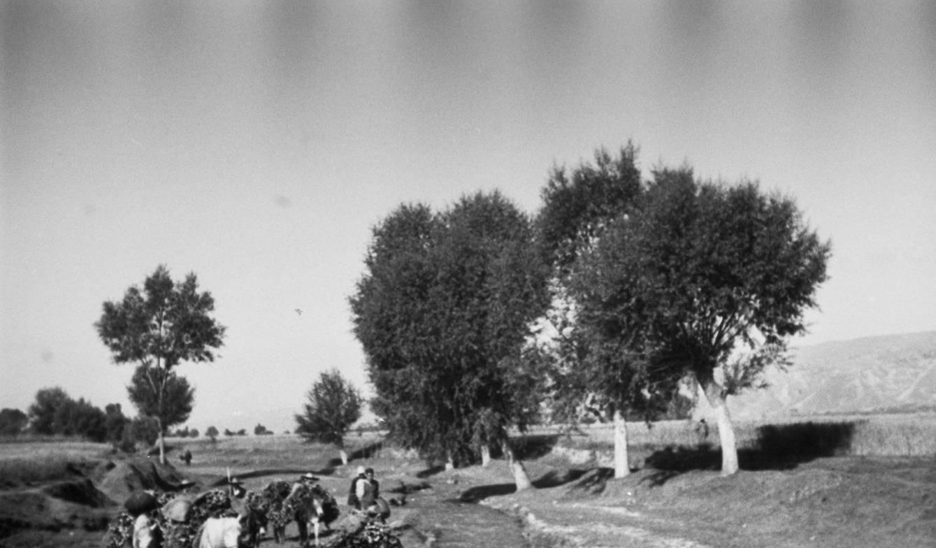 1936年的临夏:东乡族说蒙语,河州花儿有的淫,宗教氛围很浓