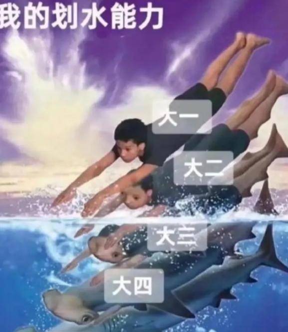 大学生晒出"四年退化史",用梗图吐槽返祖现象,家长也忍不住笑