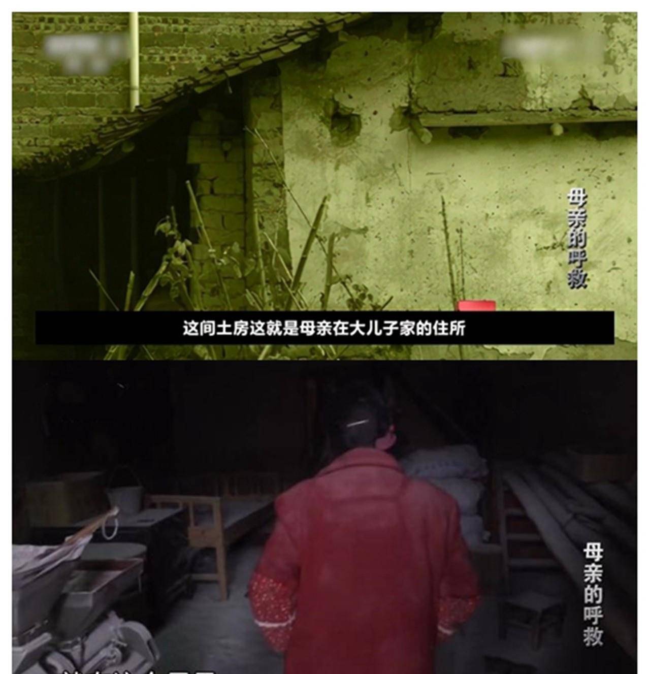 虎:解昌英有4子3女,却在2014年元旦次日冻死,4子被判_儿子_老娘_老大