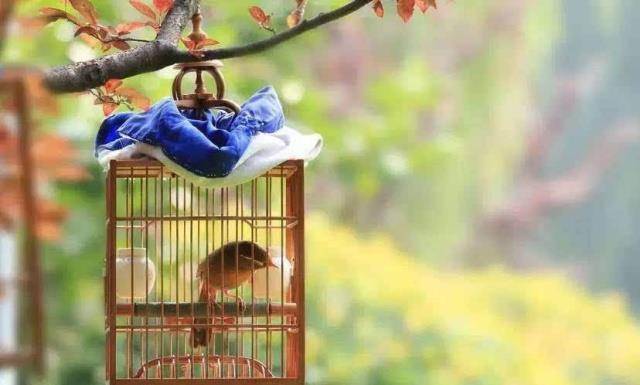 的家训,告诫年轻人不能碰的四个行当,迷恋一个就毁了_东西_一生_什么