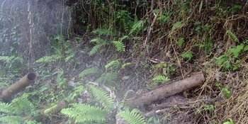 三万人进去三千人出,为了生存尿都要喝_远征军_中国_日寇