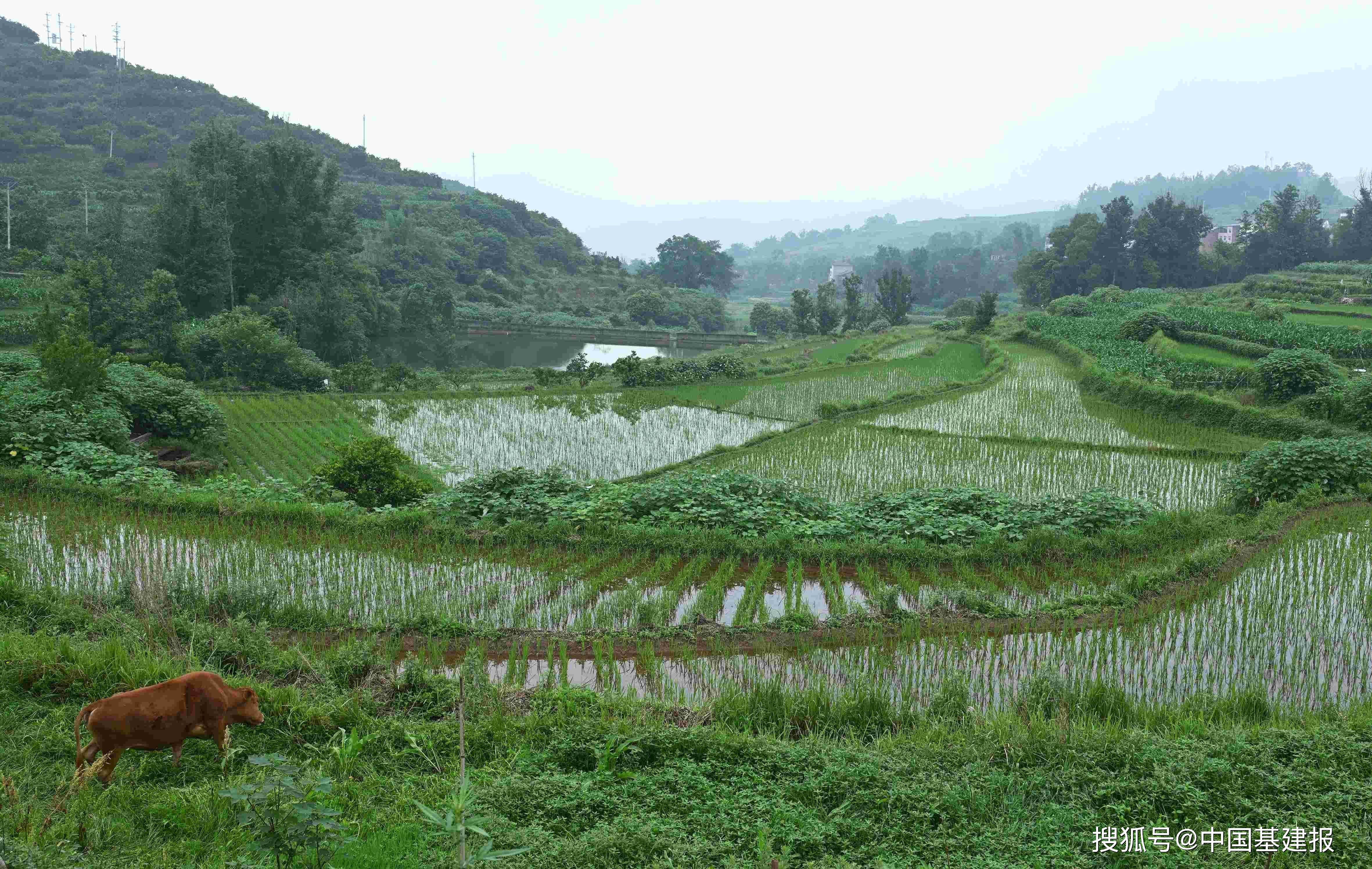 重庆忠县老鹳张家嘴 乡村美景令人目不暇接