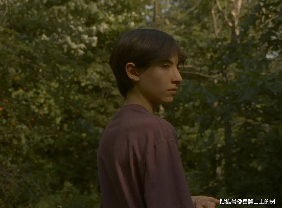 《猎鹰湖》:成长从来不是一瞬间的事