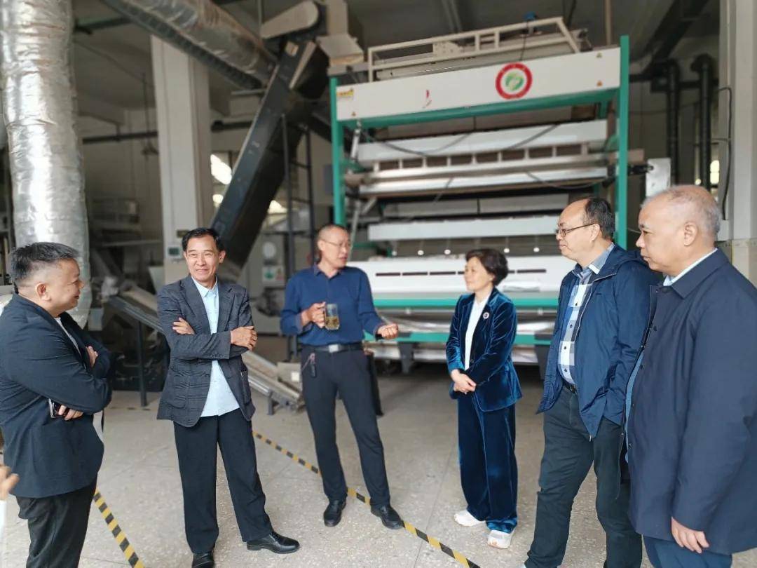 罗玉梅调研邵阳市茶产业发展