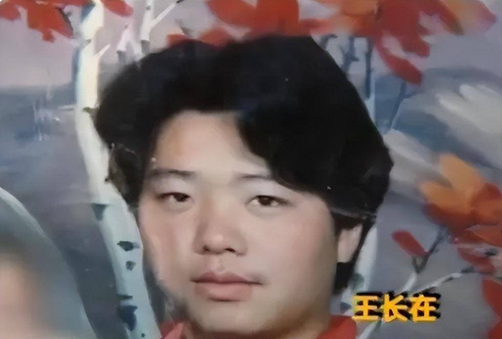 同村恶霸,却被报复砍掉双手,后来他获得多少赔偿_王长_王洪亮_王好