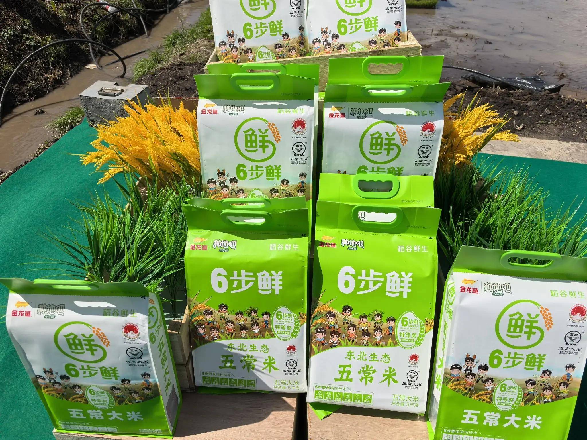 为了更好地触达消费者,整合合作伙伴资源优势,益海嘉里金龙鱼携手中化
