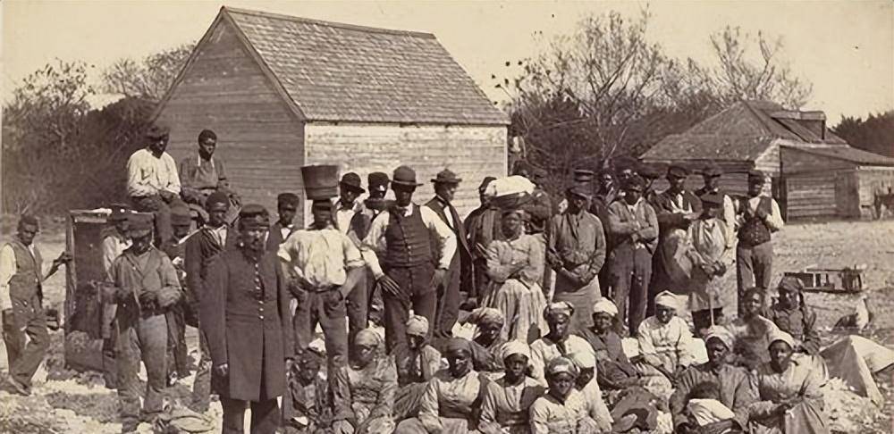 奴隶制:北美英国殖民地和巴西存在的制度,究竟有何不同?