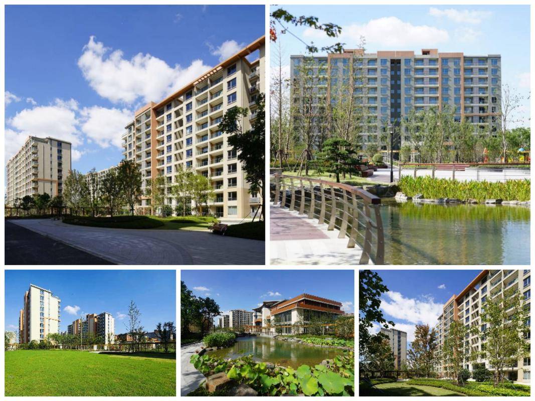 梧桐人家高端养老社区,上海太平梧桐人家养老院网站首页