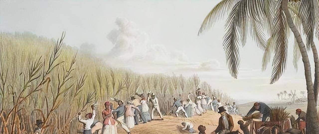 奴隶制:北美英国殖民地和巴西存在的制度,究竟有何不同?