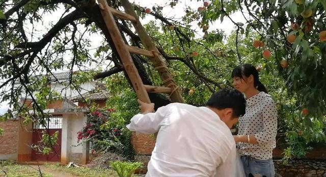 树木_院子_黄金树