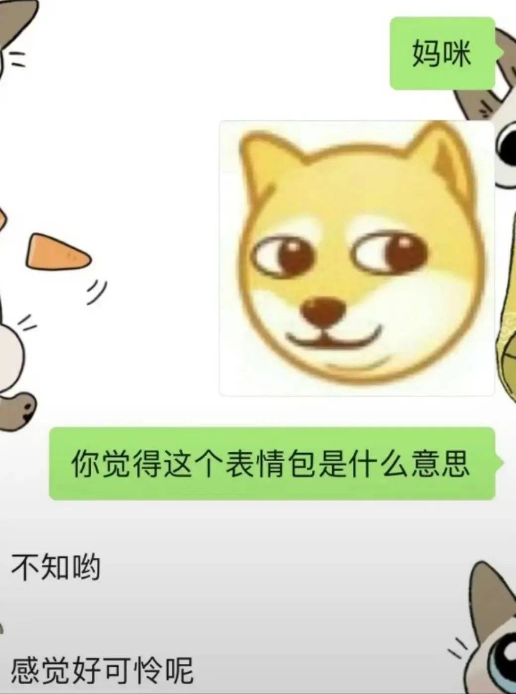 你拿什么顶啊表情包图片