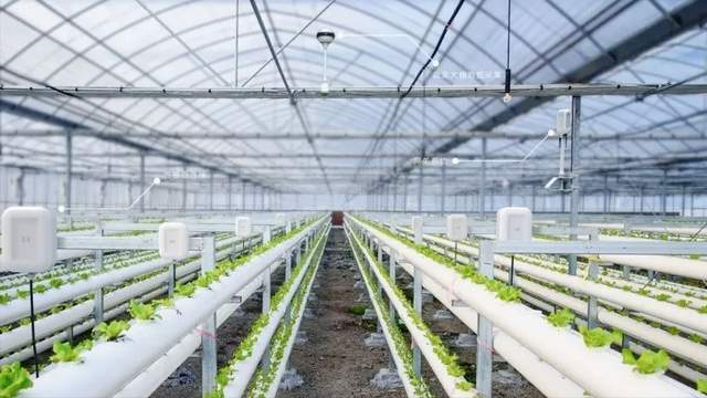 智能温室对温室大棚有什么意义