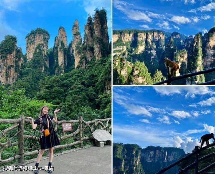 张家界三日游报团费用,张家界纯玩三日游多少钱,避坑更省钱