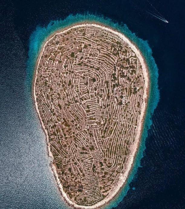 16:这是鲸鱼的鼻孔,专业叫"气孔",需要说明的是,鲸鱼虽然生活在海中