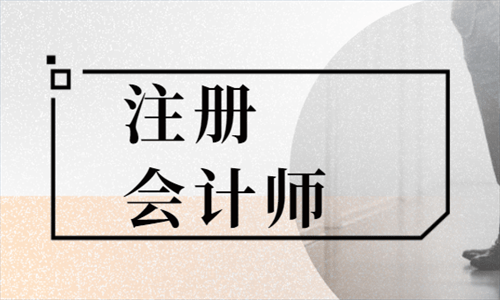 注册税务师与注册会计师哪个好考?