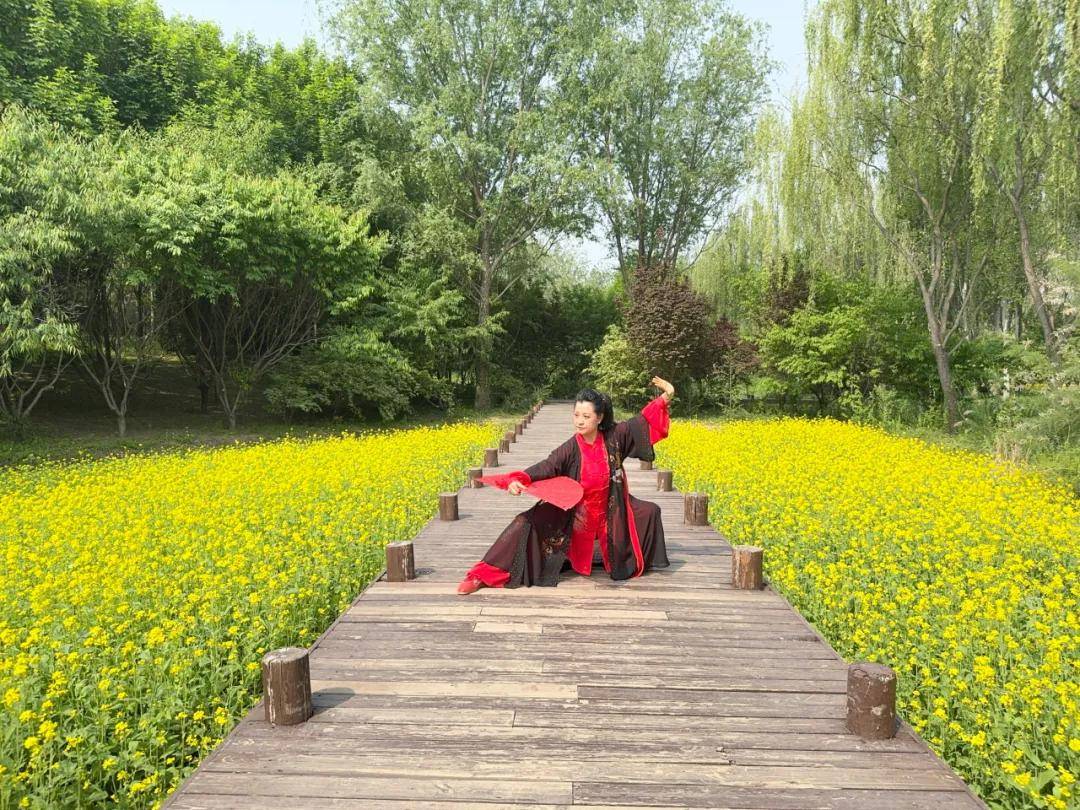 海淀区太极拳协会会员王艳萍 | 充分发挥自己的优势传播传授太极拳