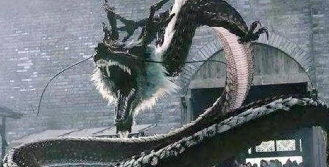 辽宁发现一古墓,揭示辽太祖射龙典故,专家:龙真的存在?