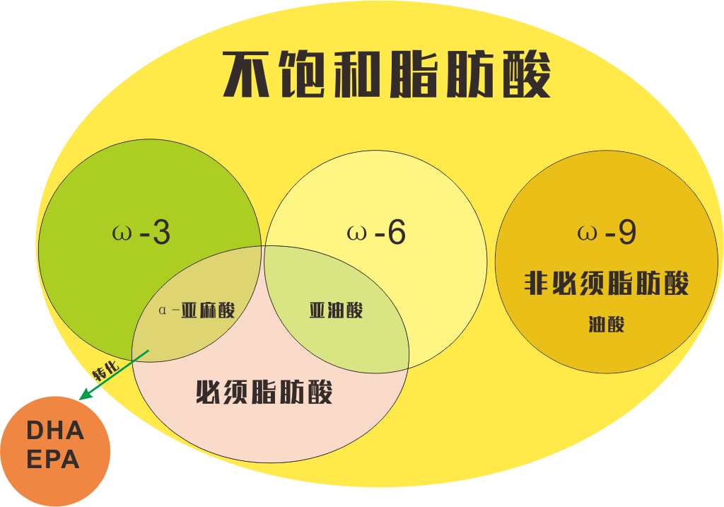 一张图,搞懂脂肪酸,为了健康看看吧