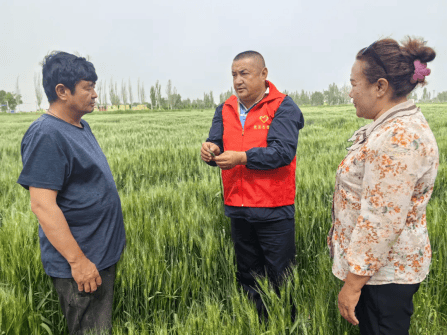 【稳经济 促发展】墩阔坦乡:小麦抽穗扬花 技术指导入田间