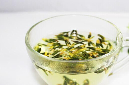 也可用菊花加金银花,甘草同煎代茶饮用,其有平肝明目,清热解毒之特效