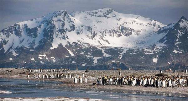 群岛",位于南大西洋,由346个岛礁组成,总面积11800平方公里,人口仅