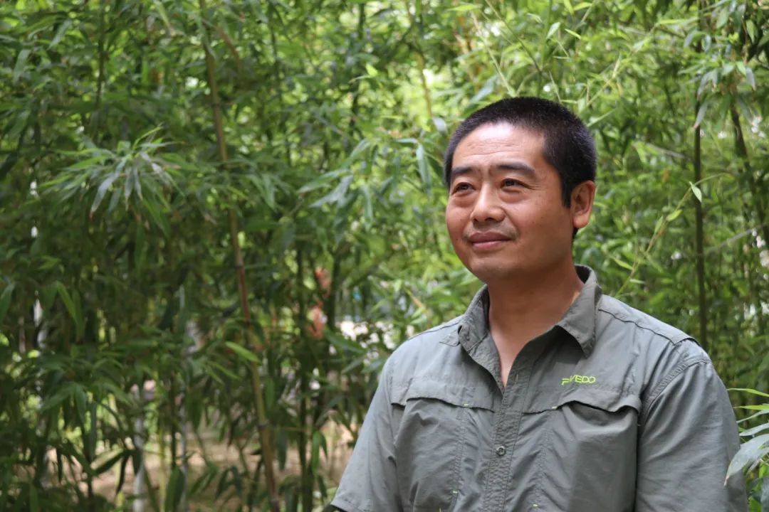 吴金龙 —— 《问界》 引航未来 开创艺术新纪元