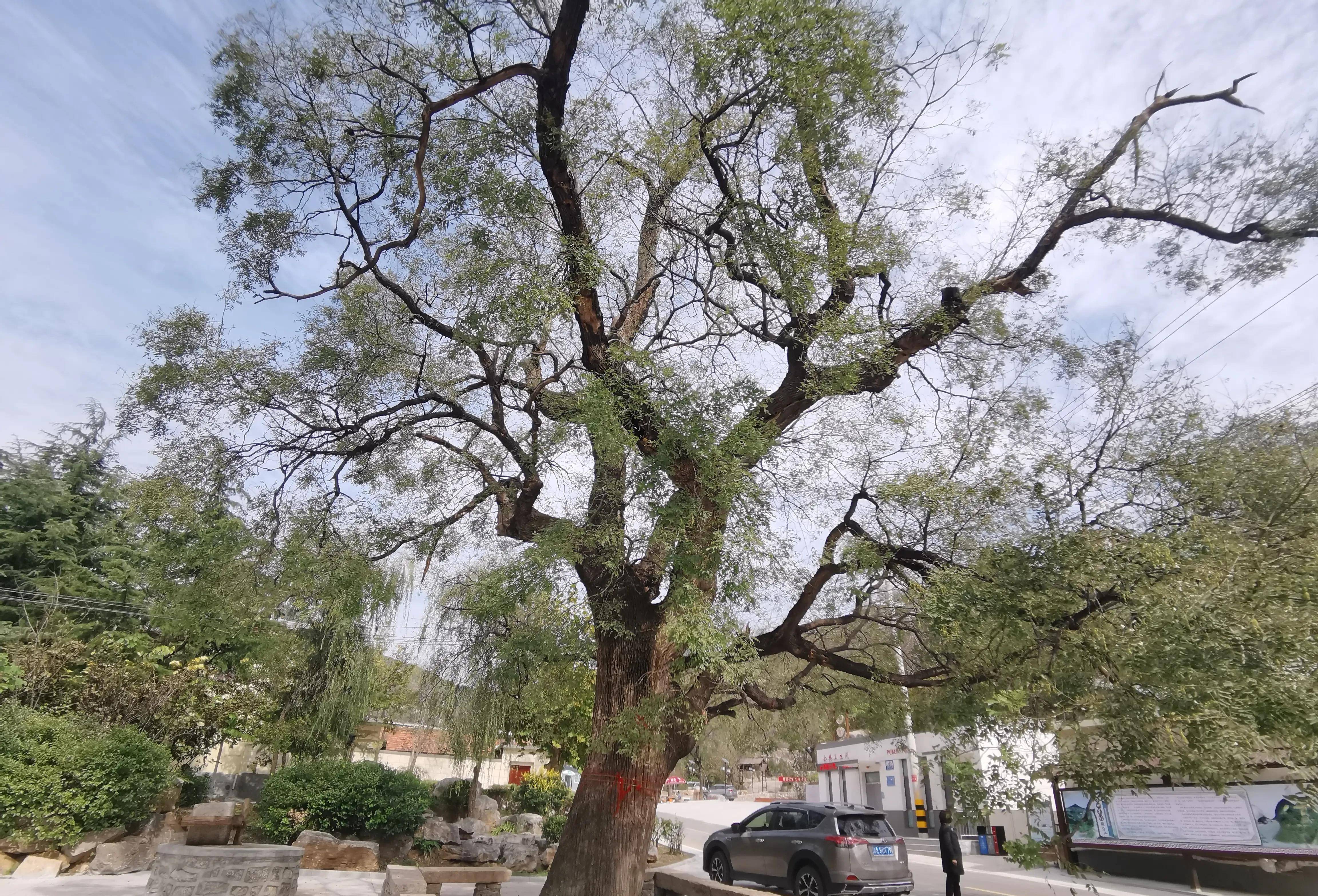 虽然海拔不是最高,曾经却最闭塞-金刚纂村旧貌变新颜