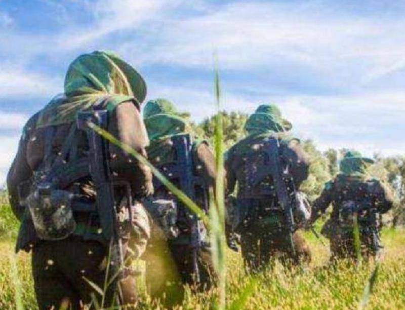 中国北湾边防线到底有多恐怖?40度高温穿棉袄,已牺牲七条军犬了