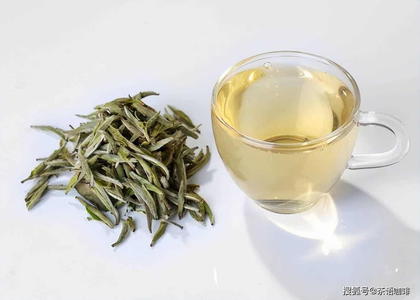 口感独特,白茶代表推荐