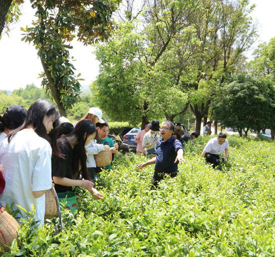 共建南农大教学实践基地, 推动溧阳三茶统筹的发展_农业_天目湖_乡村