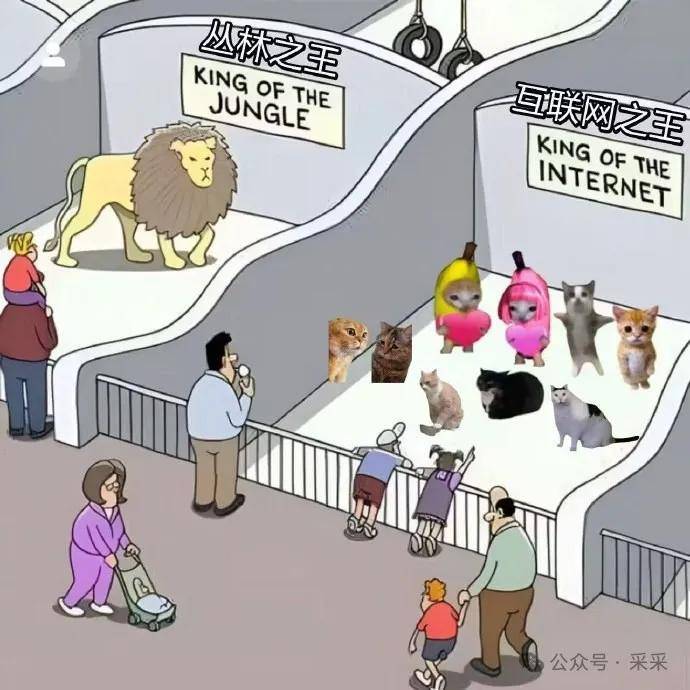 这俩夫妻在家里真会玩| 搞笑囧图