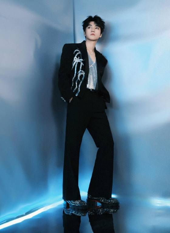 原创            王俊凯现身蔡依林演唱会，牵手唱歌荷尔蒙爆棚，曝2点理想型标准-找到王俊凯和蔡依林的表演