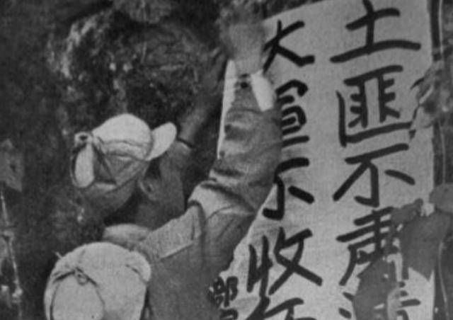 她跟着杨武学会了打枪,而且是百发百中,枪法十分精准.