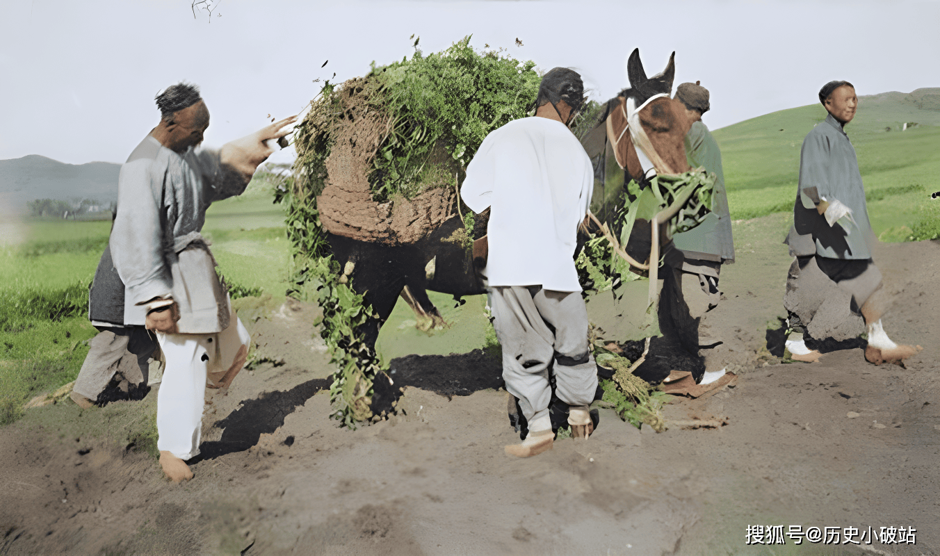 清朝的末年,广袤的农田上,农民们辛勤地劳作,待到收获的季节,他们用