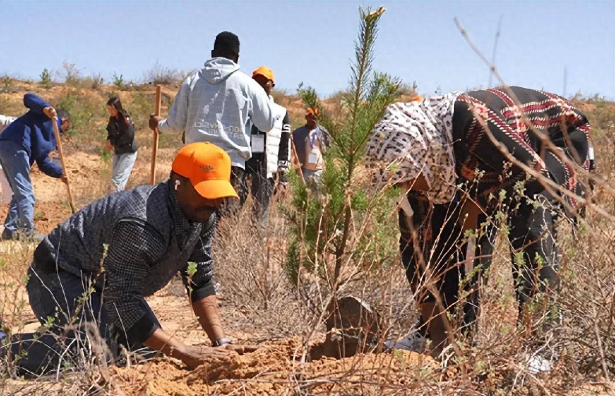   从“撒哈拉”到“毛乌素”的30名非洲专家到玉树考察治沙工作。