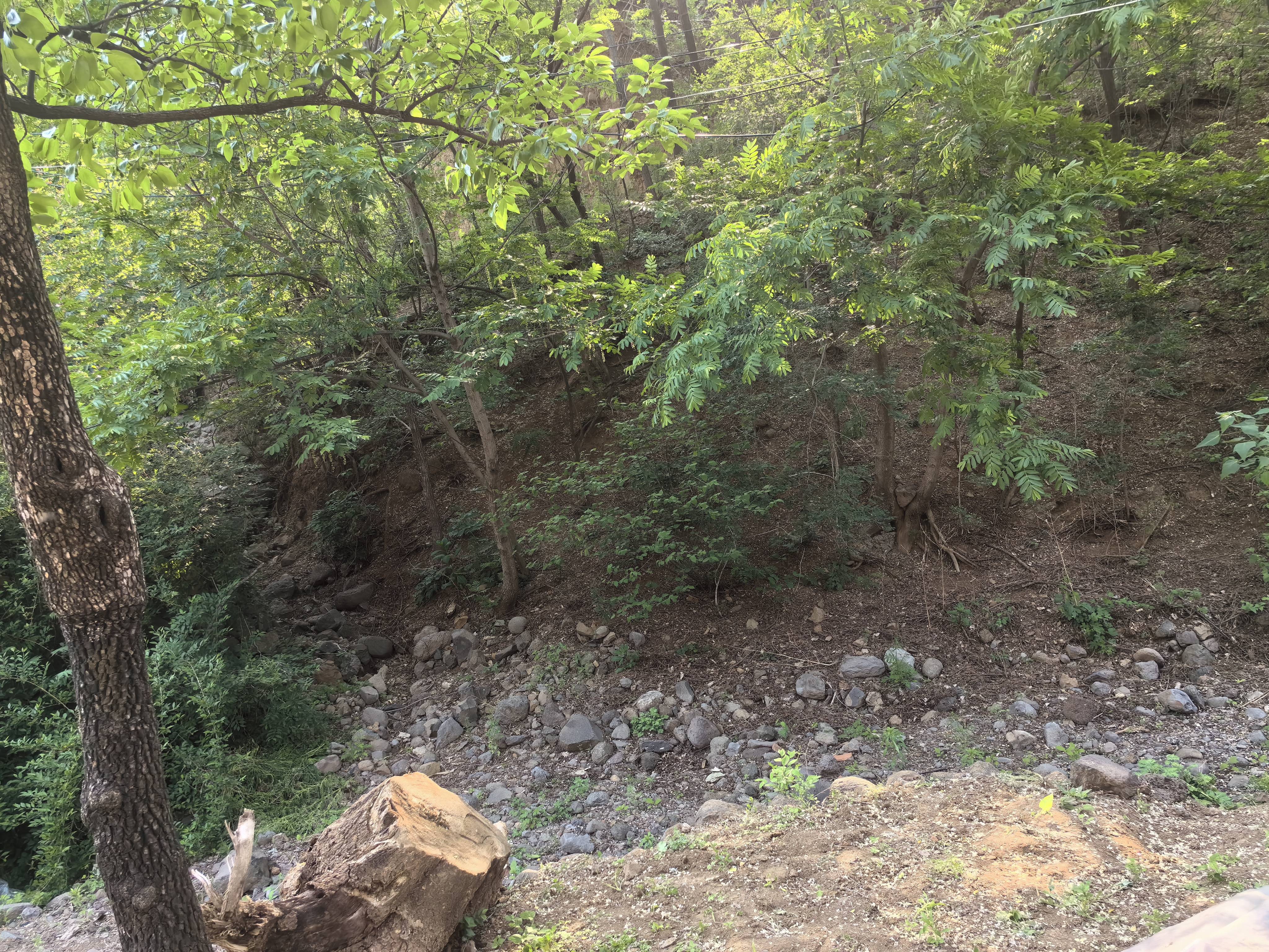 青龙方高大有住户,白虎方有一条沟河,现在已经