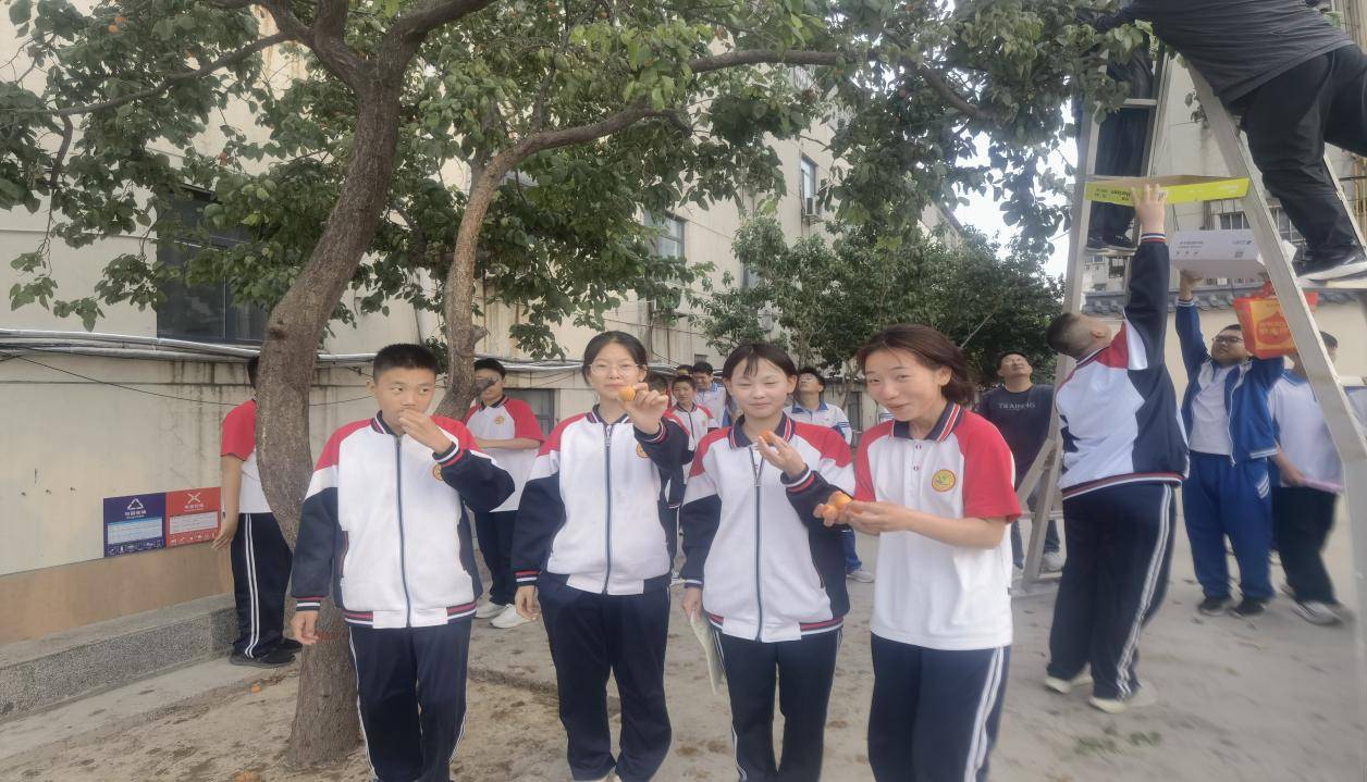 濮阳市油田第五中学麦黄杏采摘节受欢迎