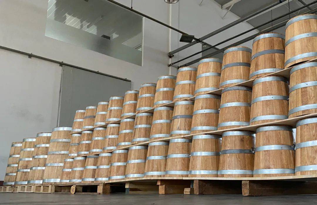 蒙古栎_吉斯波尔_国产