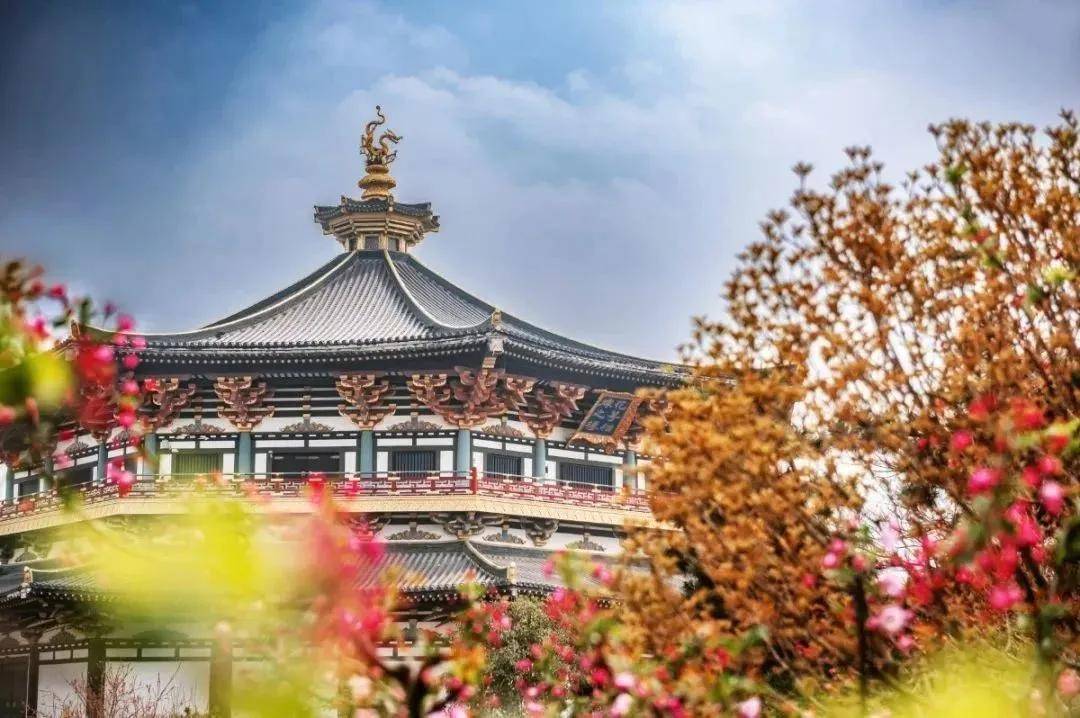 襄阳文化旅游/御花园赏花/预告片的结尾处小范大人的背影正是取景
