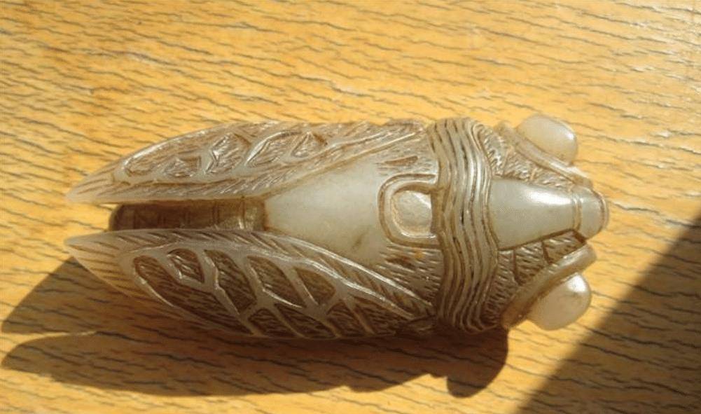 她参加鉴宝节目,主要是为了让专家估一个价格,在卖玉蝉的时候心里能有