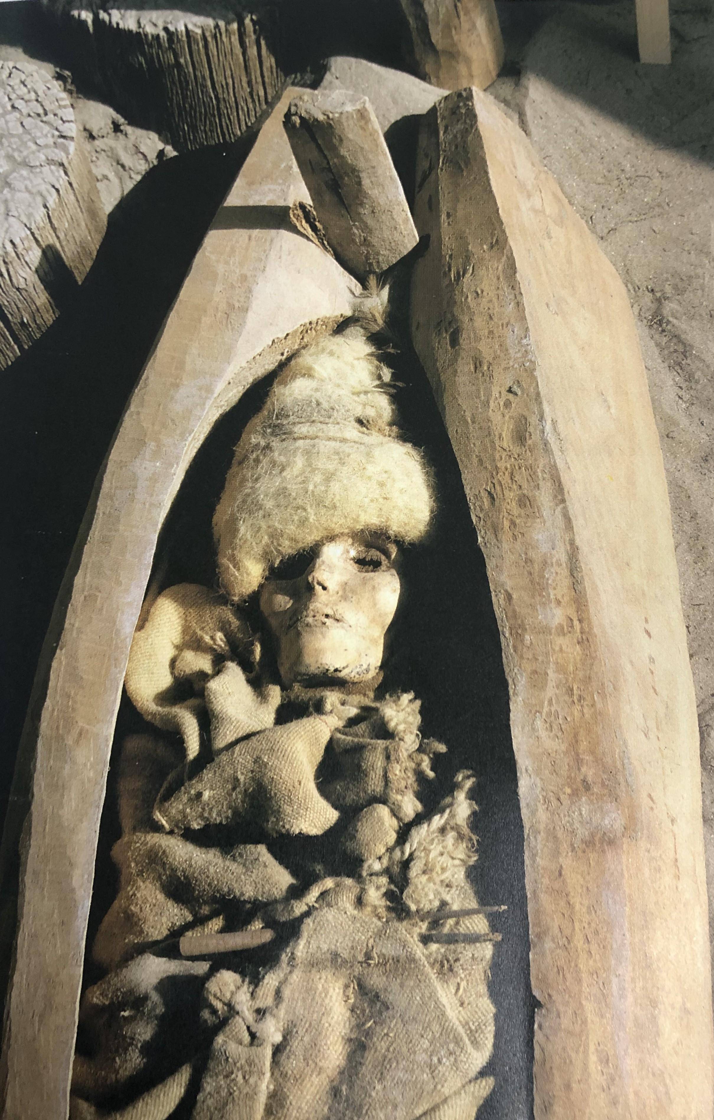 墓的主人是一位黄色毛发且样子美丽的女性木乃伊,她戴着尖顶的毡帽,还