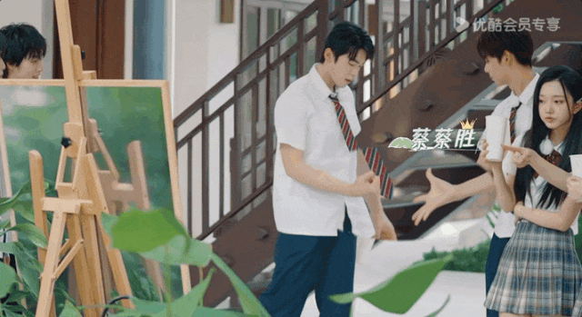 00后勇闯恋综赛道,抓马,直球又热烈_蔡蔡_斯文_小庄