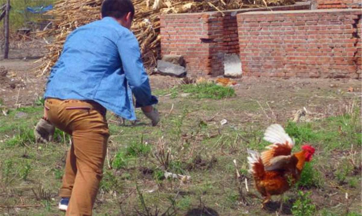 "男怕磨,女怕泡;鸡怕撵,狗怕舔"到底何意?其实就是4个字