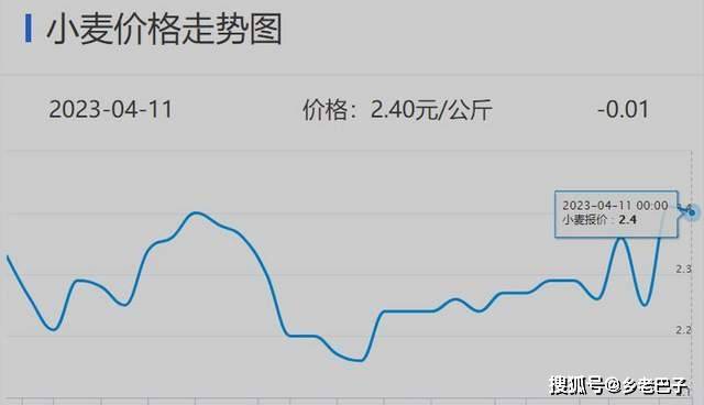 2024年小麦价格走势:稳中有升还是继续下降?种粮大户们注意了