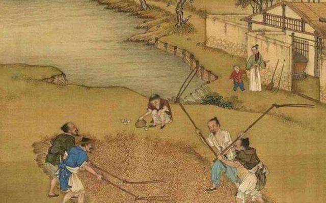 无福之人毛两腿",为何这么说,有道理吗_生活_古代_劳动