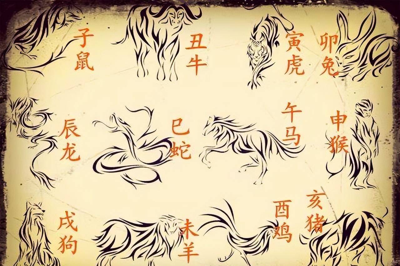 俗语:"男怕属鸡,女怕属羊",老祖宗为何这样说?有什么道理?