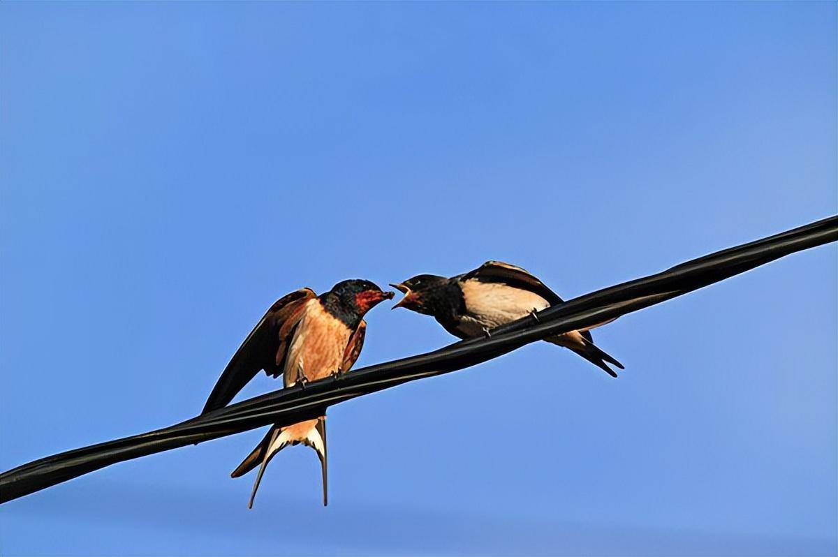 钟振振教授答疑信箱(299)