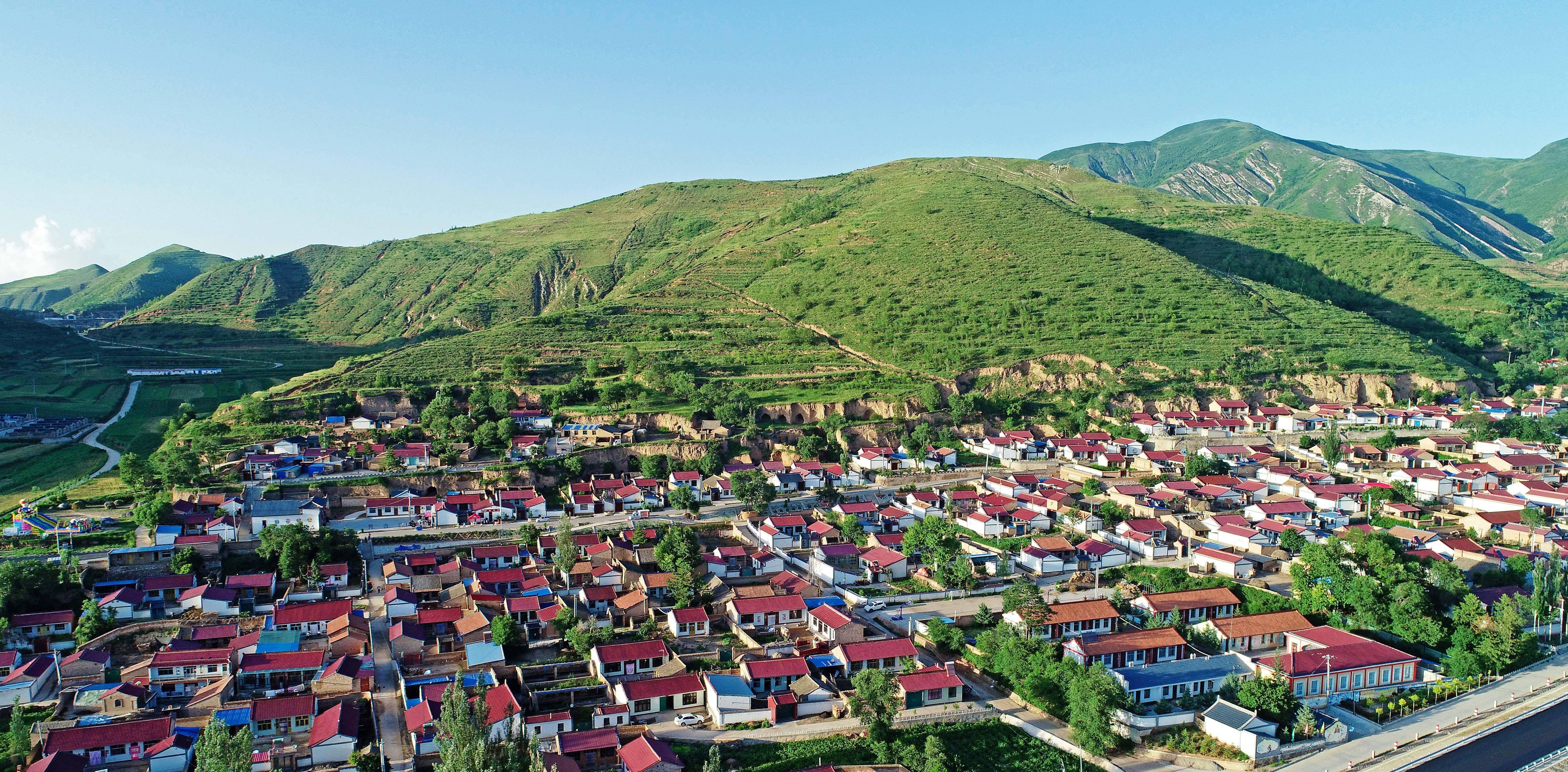 甘肃宁夏交界处,民国大镇为何变今日空城?金钱豹大摇大摆走过来